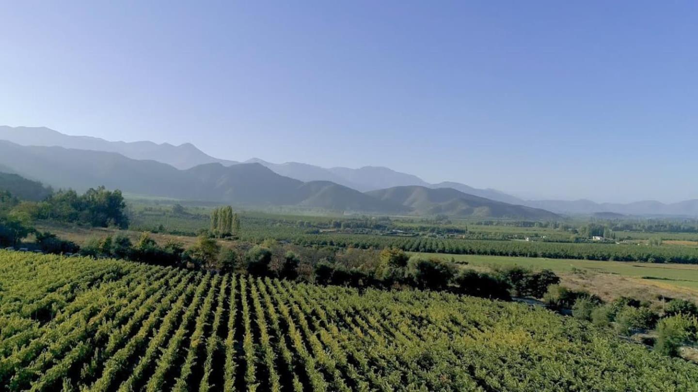 Vina Lof - Maipo Valley Bed & Breakfast In Winery Paine Exterior foto